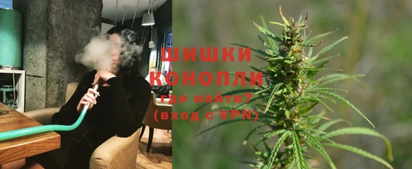молекула духа Вязьма