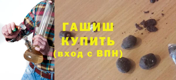 шишки Горняк