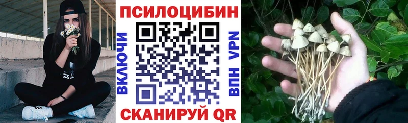 Галлюциногенные грибы Cubensis  Заполярный 